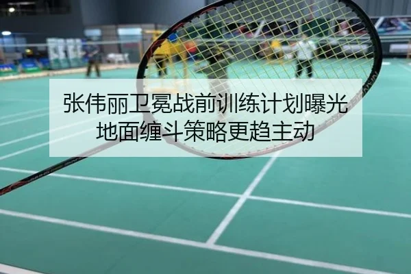 张伟丽卫冕战前训练计划曝光 地面缠斗策略更趋主动